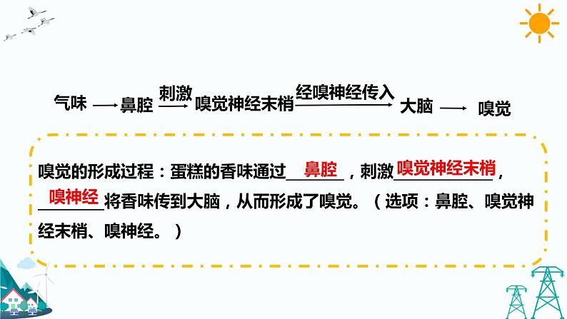 2.1 感觉世界（第2课时）（课件+教案+课时练）05