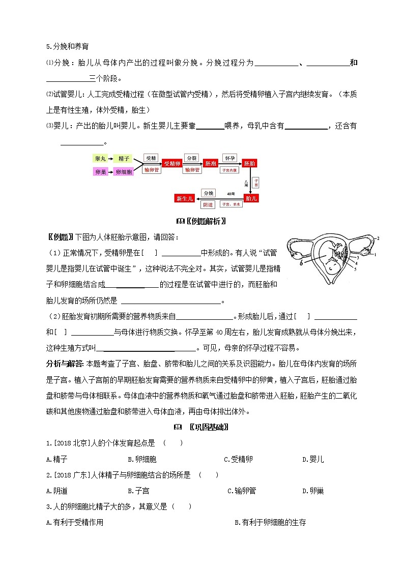1.1新生命的诞生学案（含答案）02