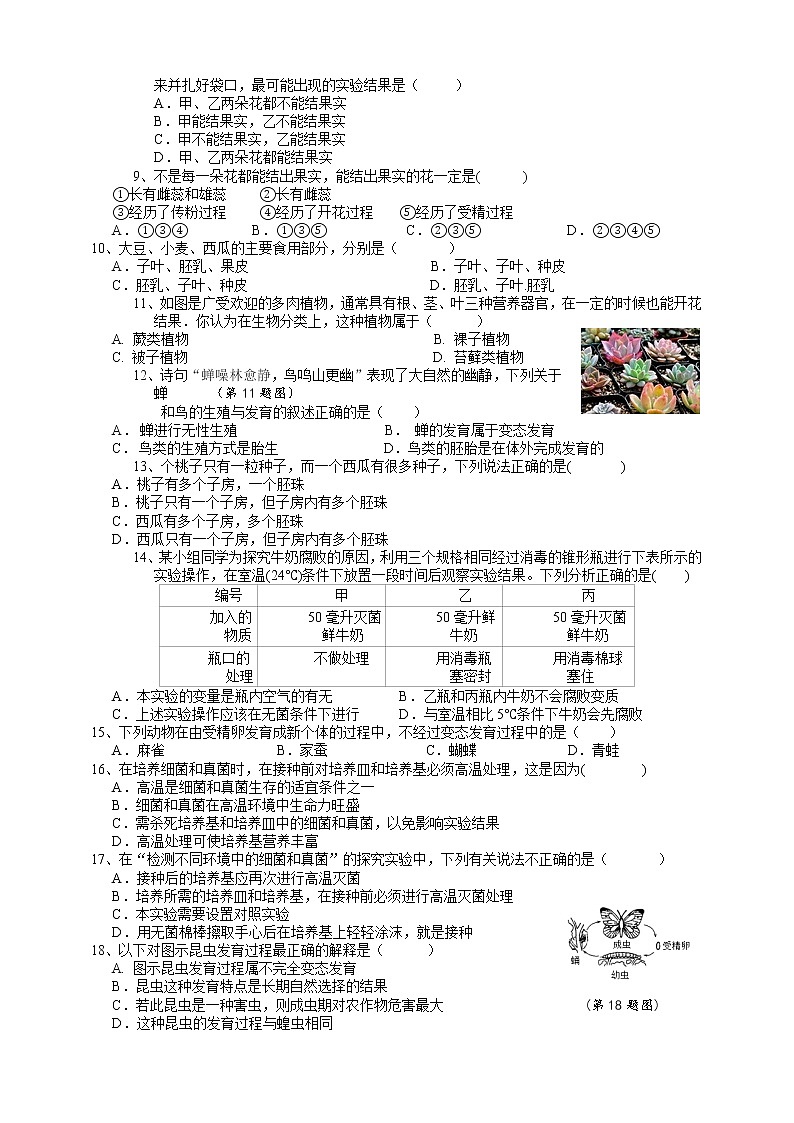 第1章 代代相传的生命（原卷+解析卷+答题卷）02
