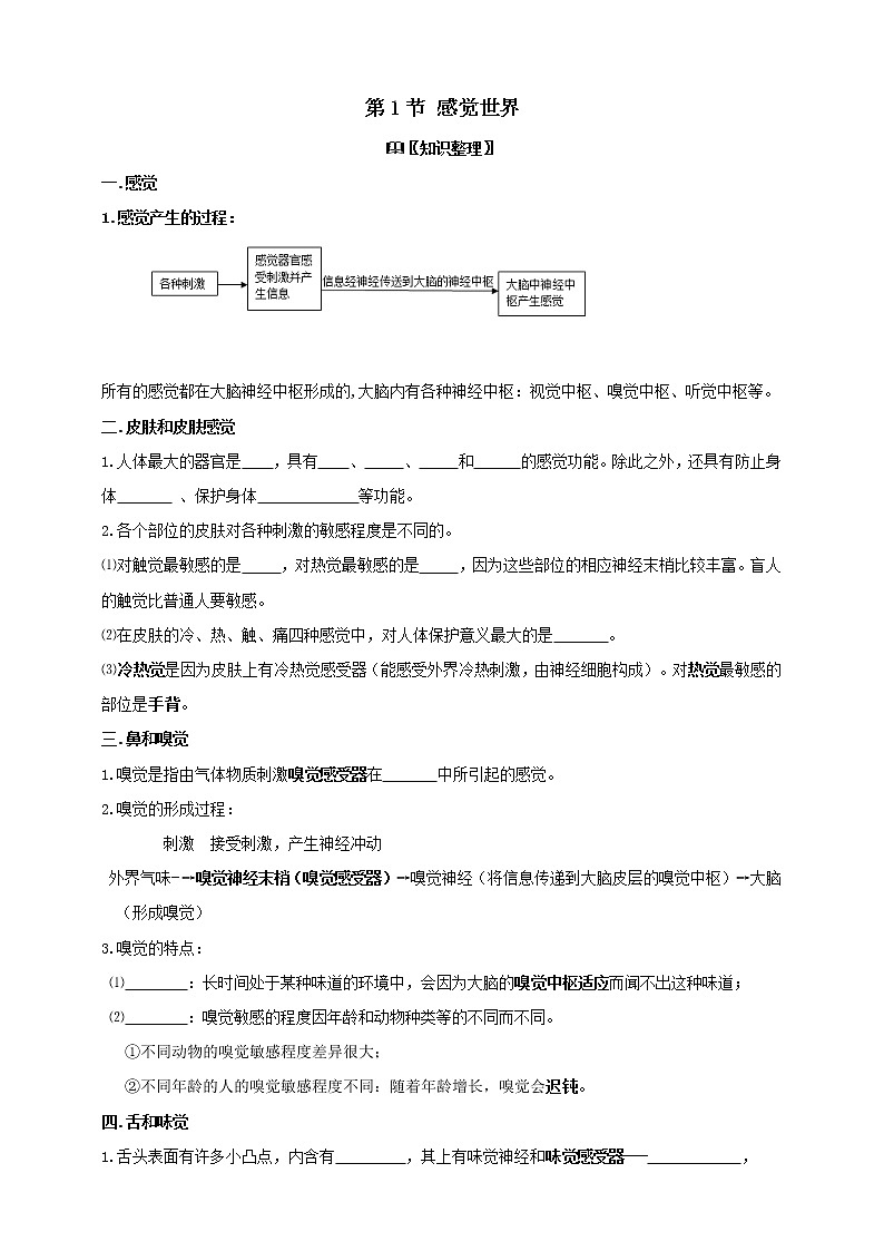 浙教版七年级下册 2.1感觉的世界学案（含答案）01