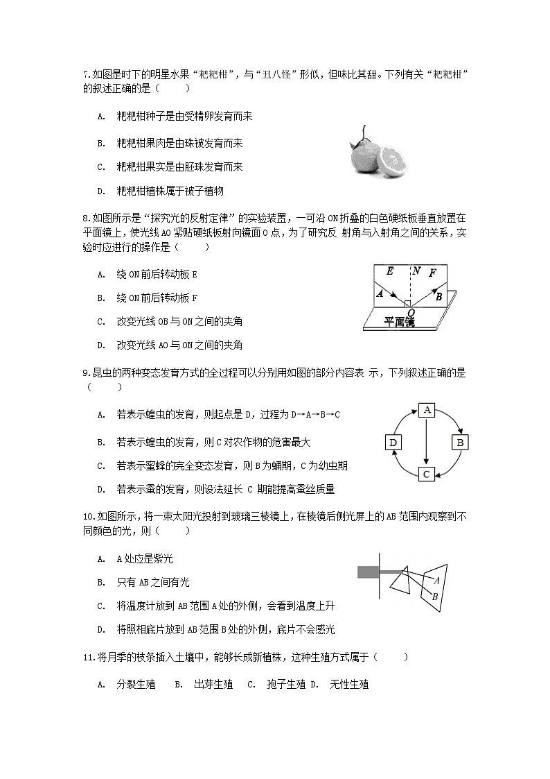 浙教版七年级下册科学期中试卷302