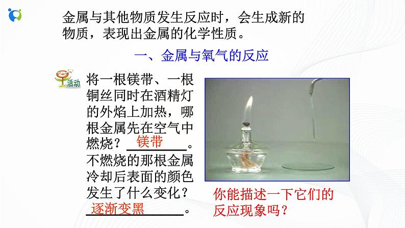 浙教版科学九年级上册  第2章 第2节 金属的化学性质（第1课时）课件PPT+教案+练习05