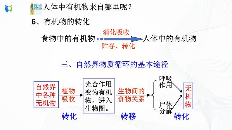浙教版科学九年级上册  第2章 第3节 有机物和有机合成材料（第2课时）课件PPT+教案+练习08