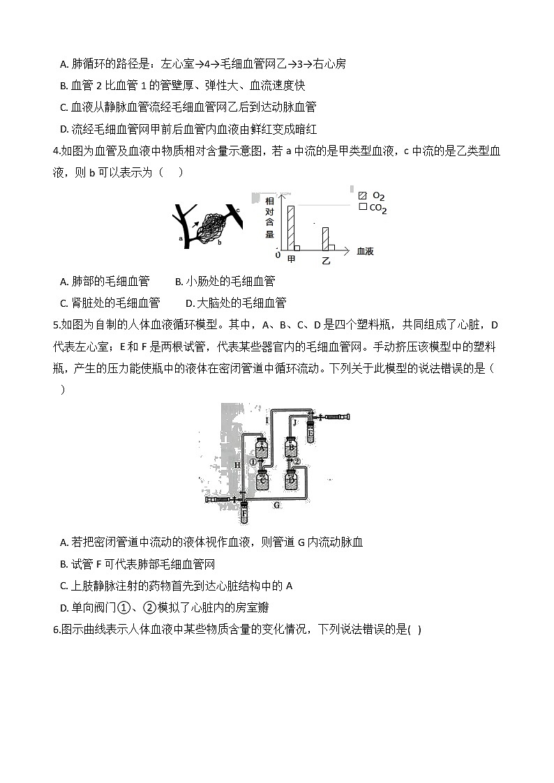 体内物质的运输PPT课件免费下载02
