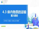 體內(nèi)物質(zhì)的運輸PPT課件免費下載