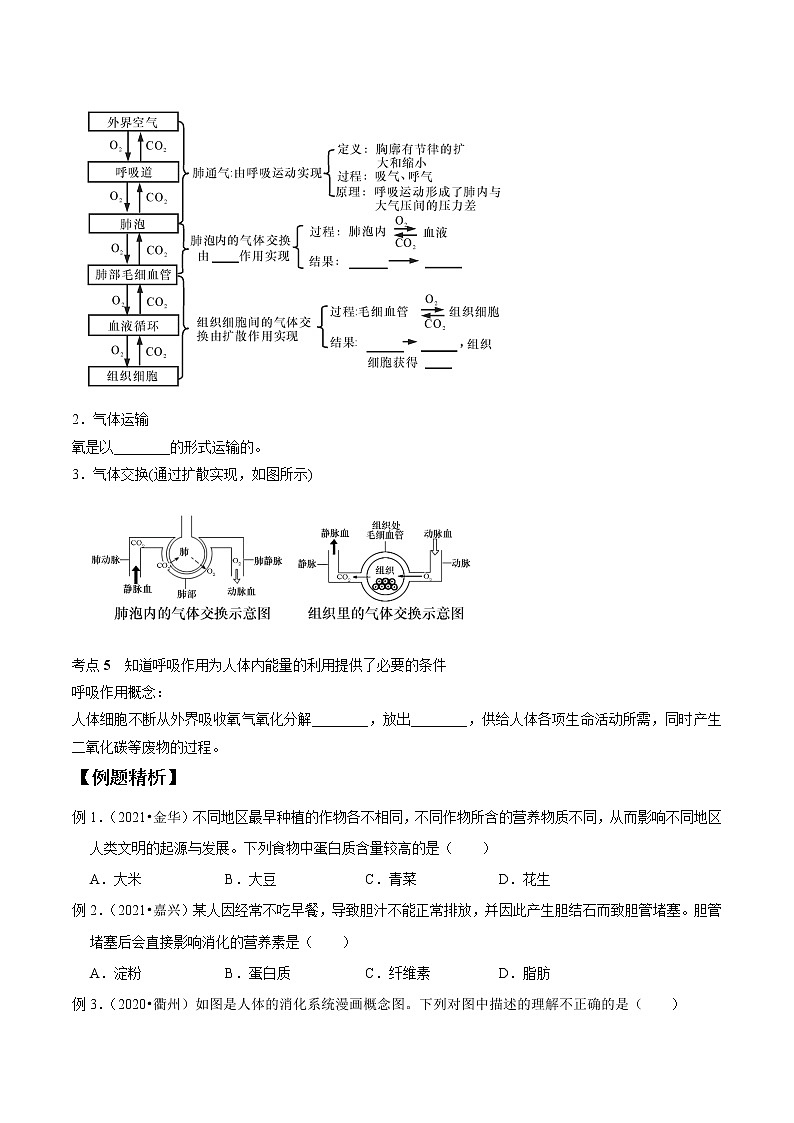 专题06 人体的物质和能量转换(一)-决战2022年中考科学一轮复习（学生版）03