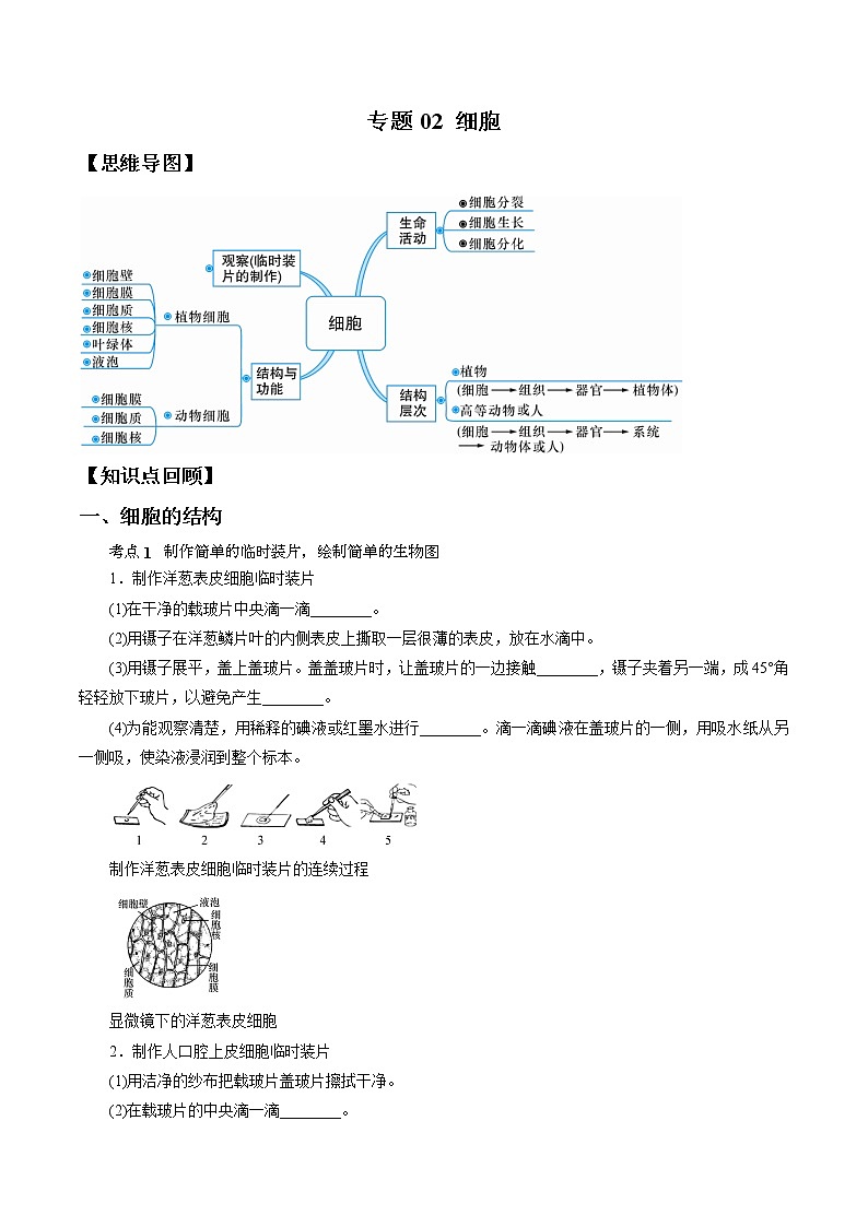 专题02 细胞-决战2022年中考科学一轮复习（教师版）第1页