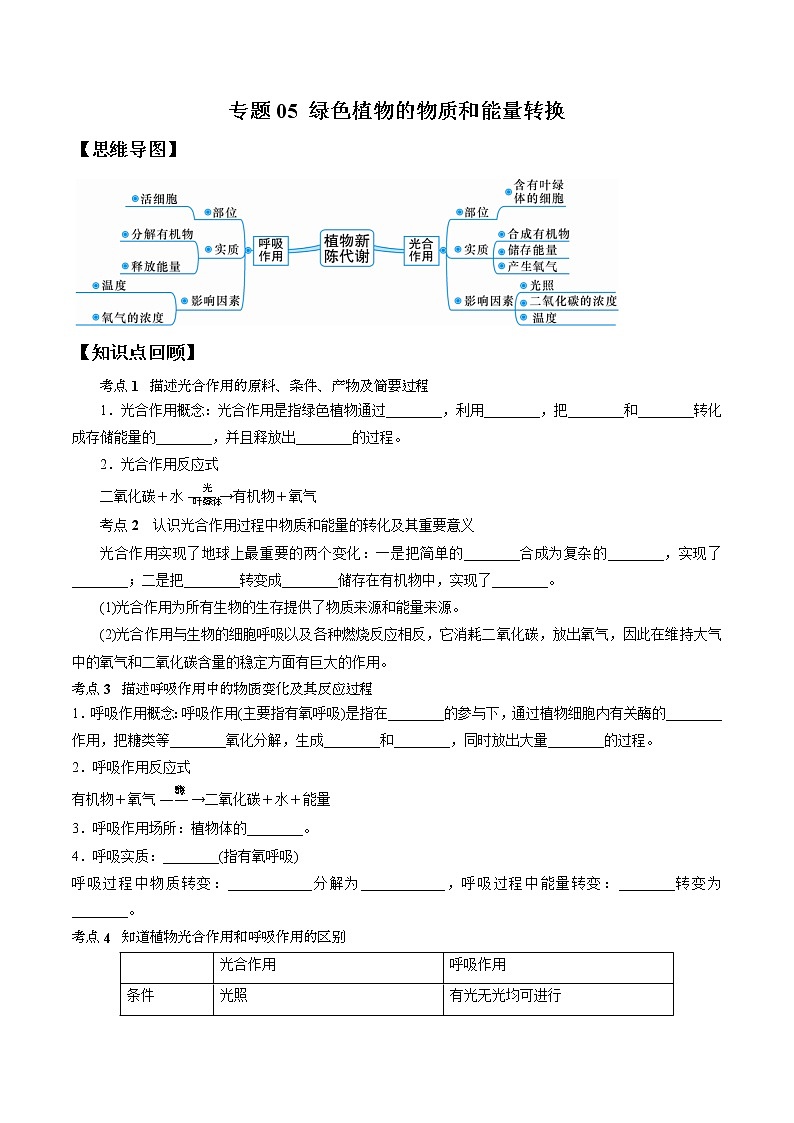 专题05 绿色植物的物质和能量转换-决战2022年中考科学一轮复习（教师版）01