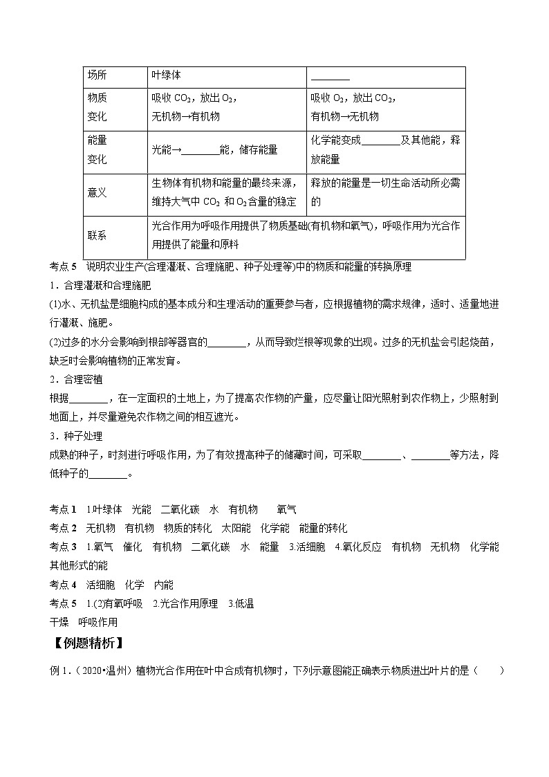 专题05 绿色植物的物质和能量转换-决战2022年中考科学一轮复习（教师版）02
