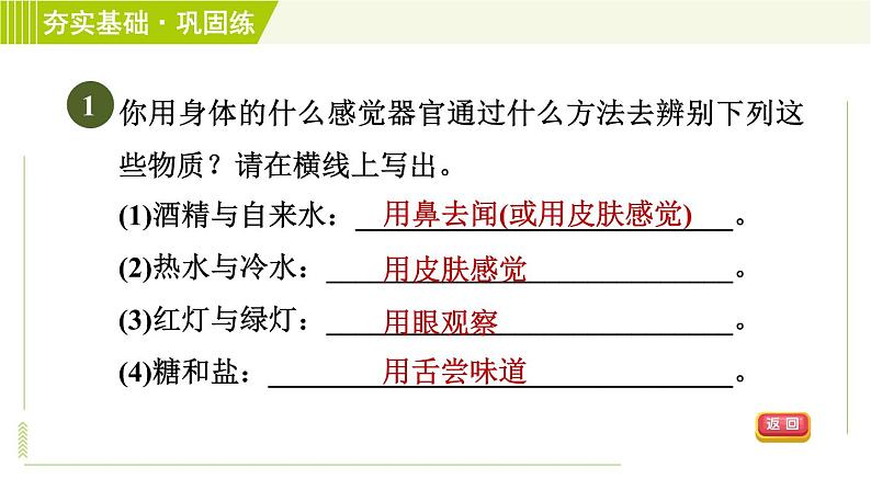 浙教版七年级下册科学 第2章 2.1感觉世界 习题课件04