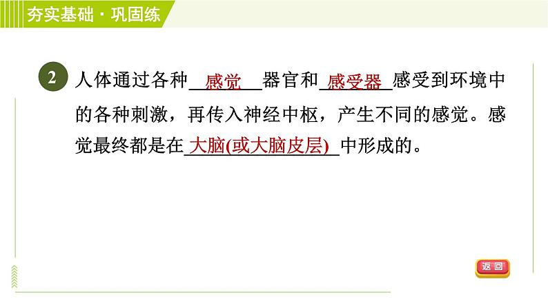 浙教版七年级下册科学 第2章 2.1感觉世界 习题课件05