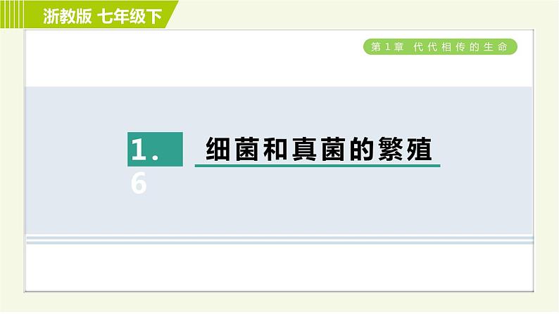 浙教版七年级下册科学 第1章 1.6细菌和真菌的繁殖 习题课件01