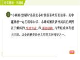 浙教版七年级下册科学 第1章 1.3.1动物的生长时期 习题课件