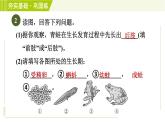 浙教版七年级下册科学 第1章 1.3.1动物的生长时期 习题课件