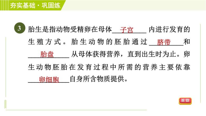 浙教版七年级下册科学 第1章 1.3.2动物生殖方式的多样性 习题课件06