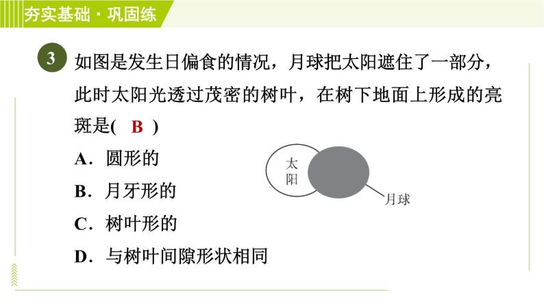 华师版七年级下册科学 第3章 2.1光源　阳光的直线传播 习题课件06