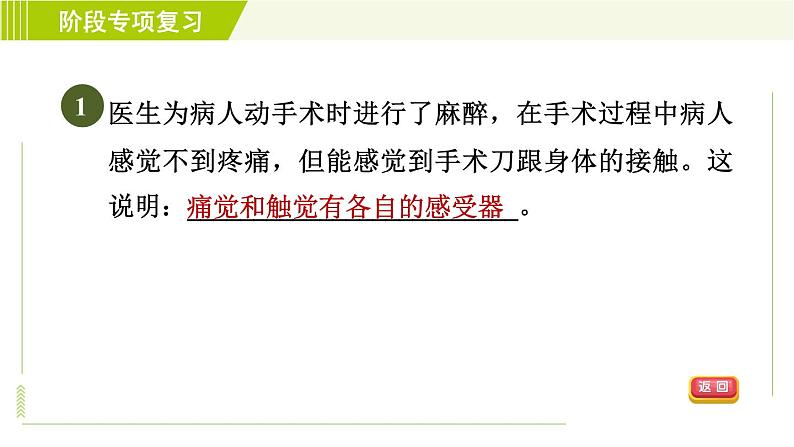 浙教版七年级下册科学 第2章 阶段专项复习（二） 习题课件第4页