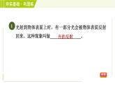 浙教版七年级下册科学 第2章 2.5.1光的反射 习题课件