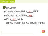 浙教版七年级下册科学 第2章 2.5.1光的反射 习题课件