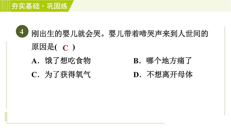 浙教版七年级下册科学 第1章 1.1.2胚胎的发育　分娩和养育 习题课件07