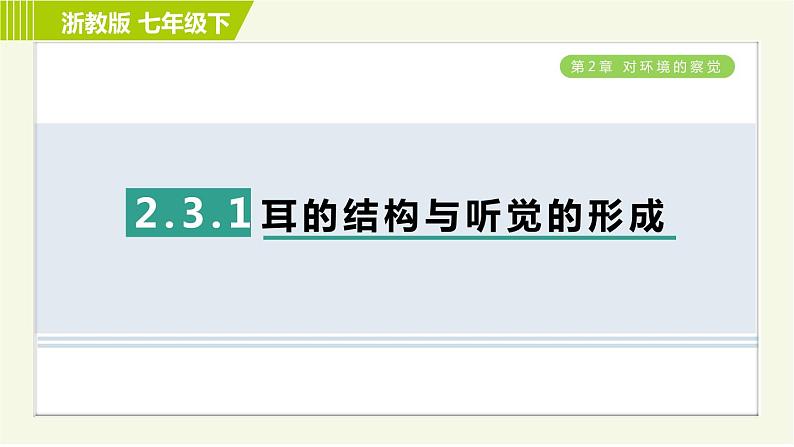 浙教版七年级下册科学 第2章 2.3.1耳的结构与听觉的形成 习题课件第1页