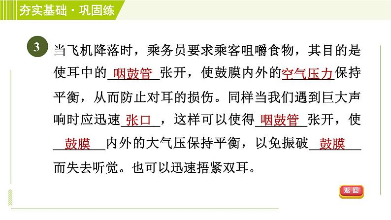 浙教版七年级下册科学 第2章 2.3.1耳的结构与听觉的形成 习题课件第6页