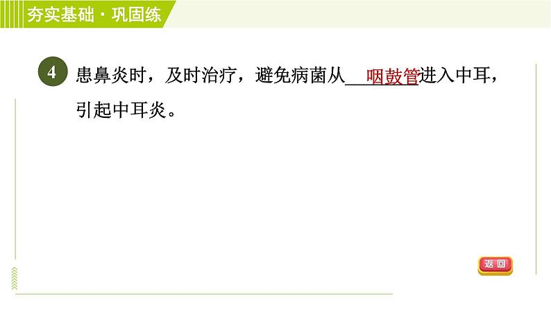 浙教版七年级下册科学 第2章 2.3.1耳的结构与听觉的形成 习题课件第7页