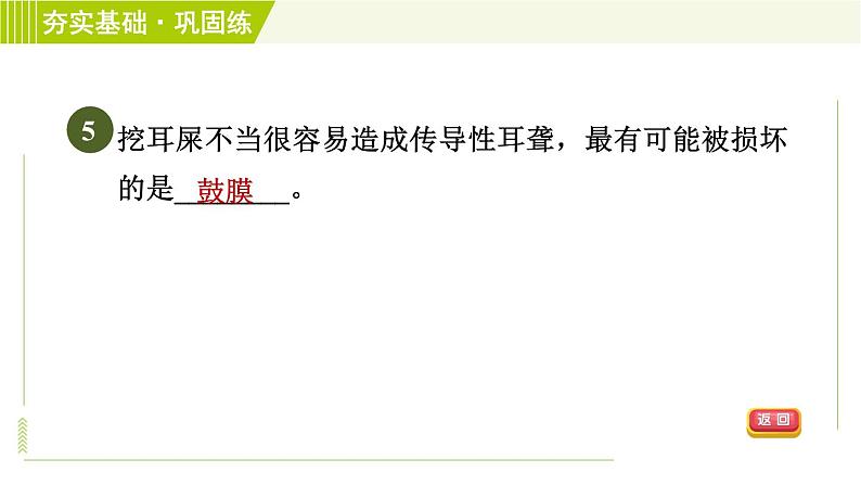 浙教版七年级下册科学 第2章 2.3.1耳的结构与听觉的形成 习题课件第8页