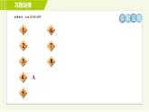 華師版七年級(jí)下冊(cè)科學(xué) 第3章 專(zhuān)項(xiàng)提升訓(xùn)練(四) 習(xí)題課件