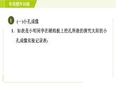 華師版七年級(jí)下冊(cè)科學(xué) 第3章 專(zhuān)項(xiàng)提升訓(xùn)練(四) 習(xí)題課件