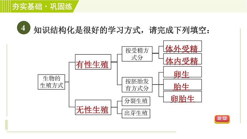 浙教版七年级下册科学 第1章 习题课件07