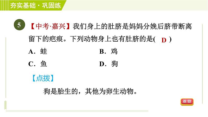 浙教版七年级下册科学 第1章 习题课件08