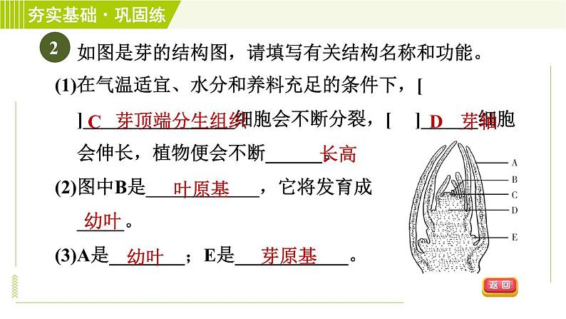 浙教版七年级下册科学 第1章 习题课件05