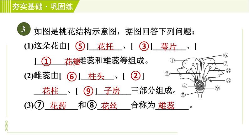 浙教版七年级下册科学 第1章 习题课件06