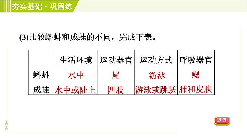 浙教版七年级下册科学 第1章 习题课件06