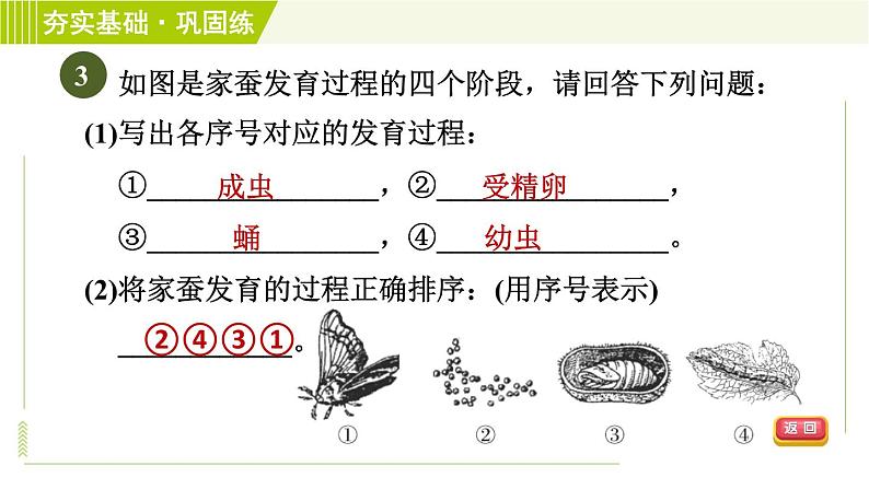 浙教版七年级下册科学 第1章 习题课件07