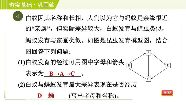 浙教版七年级下册科学 第1章 习题课件08