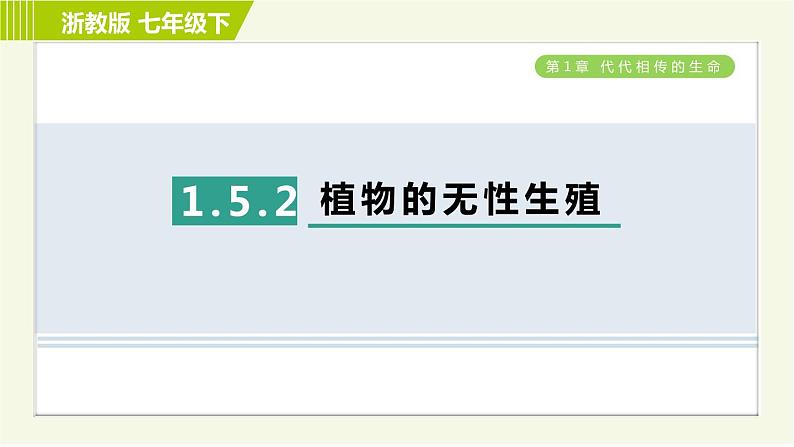 浙教版七年级下册科学 第1章 习题课件01