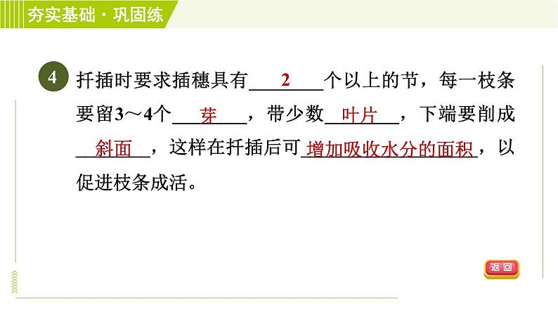 浙教版七年级下册科学 第1章 习题课件07