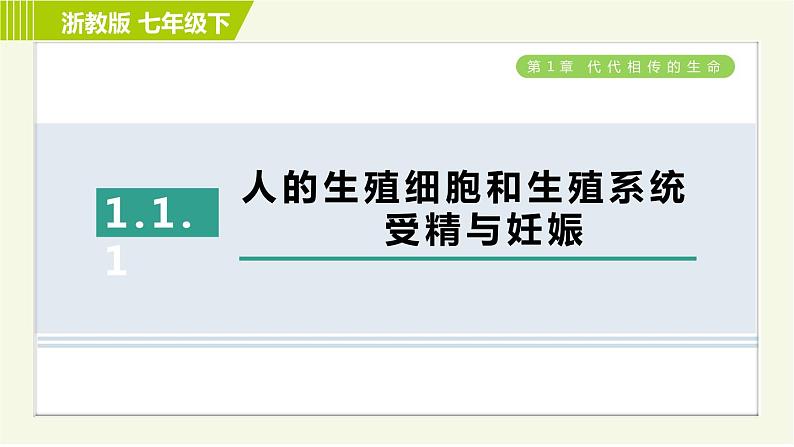 浙教版七年级下册科学 第1章 习题课件01