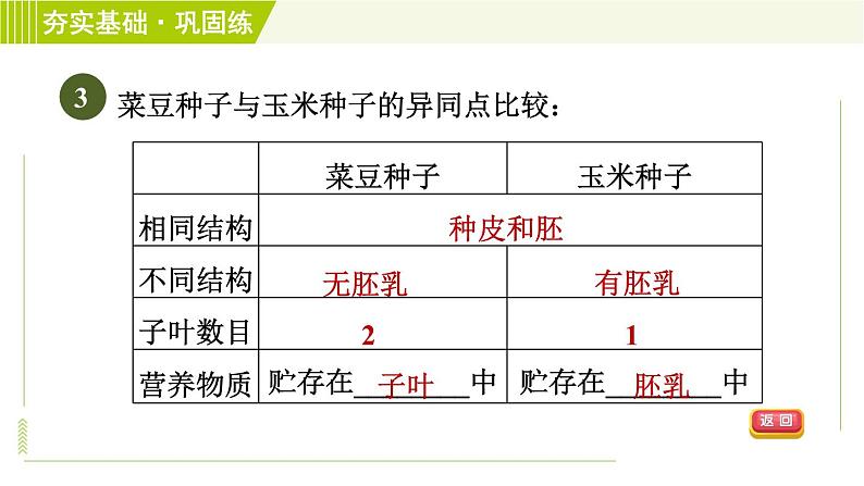 浙教版七年级下册科学 第1章 习题课件08