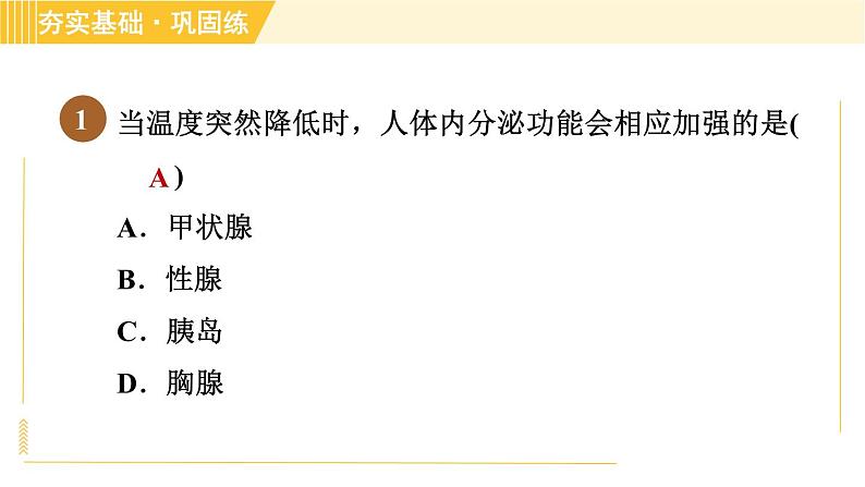 人体是一个统一的整体PPT课件免费下载03