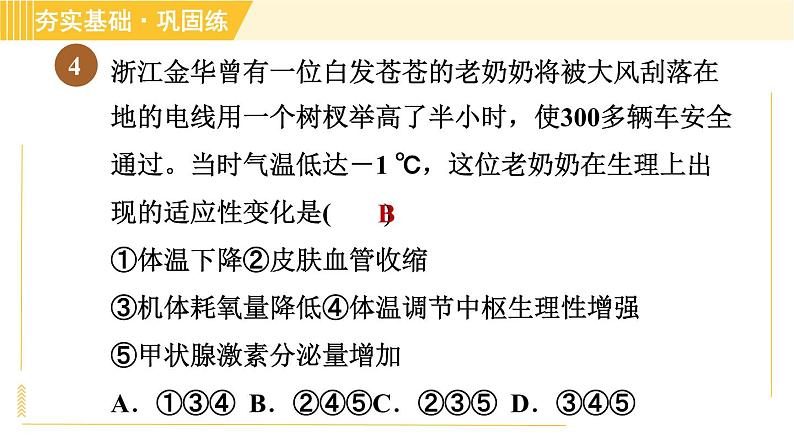 人体是一个统一的整体PPT课件免费下载07