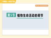 华师版八年级下册科学 第7章 7.5植物生命活动的调节 习题课件