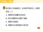 华师版八年级下册科学 第7章 7.5植物生命活动的调节 习题课件