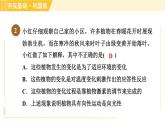 华师版八年级下册科学 第7章 7.5植物生命活动的调节 习题课件