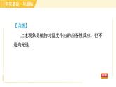 华师版八年级下册科学 第7章 7.5植物生命活动的调节 习题课件