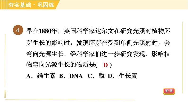 华师版八年级下册科学 第7章 7.5植物生命活动的调节 习题课件第7页