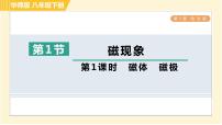 初中科学华师大版八年级下册1 磁现象习题课件ppt