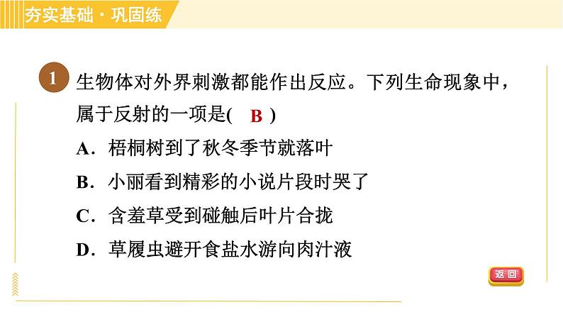 华师版八年级下册科学 第7章 7.2.2神经调节的基本方式 习题课件03